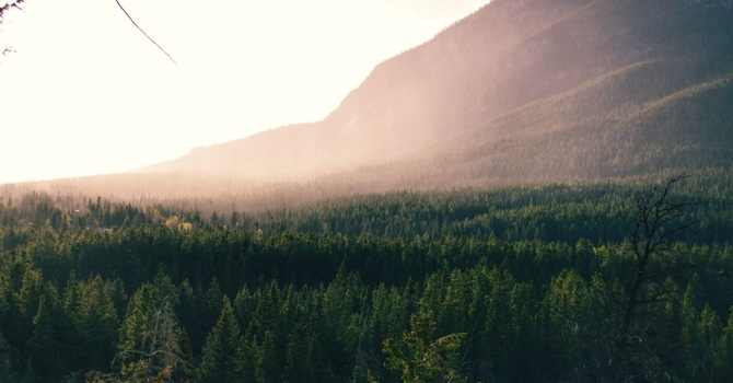 Therapeutic Nutrition